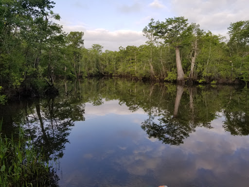 Fishing Camp «Becks Lake Fish Camp», reviews and photos, 2020 Becks Lake Rd, Cantonment, FL 32533, USA