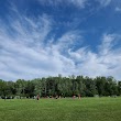 Port Huron Twp Memorial Park