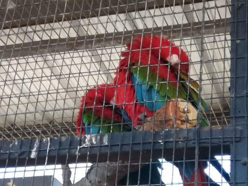 Park «Pearsall Park», reviews and photos, 4838 Old Pearsall Rd, San Antonio, TX 78242, USA