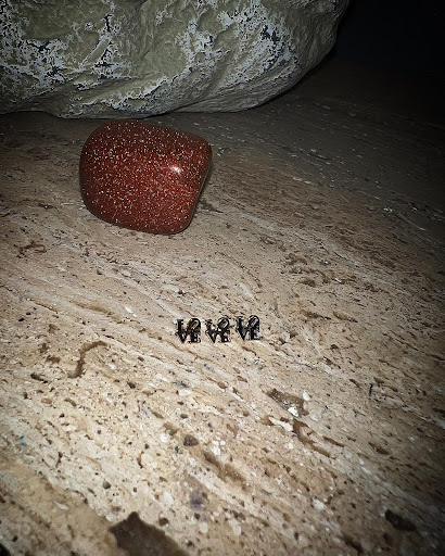 Explore rib tattoo ideas for guys, creative tattoo ideas in Cary, available at Fine Art Body Piercing By Lilith Mae