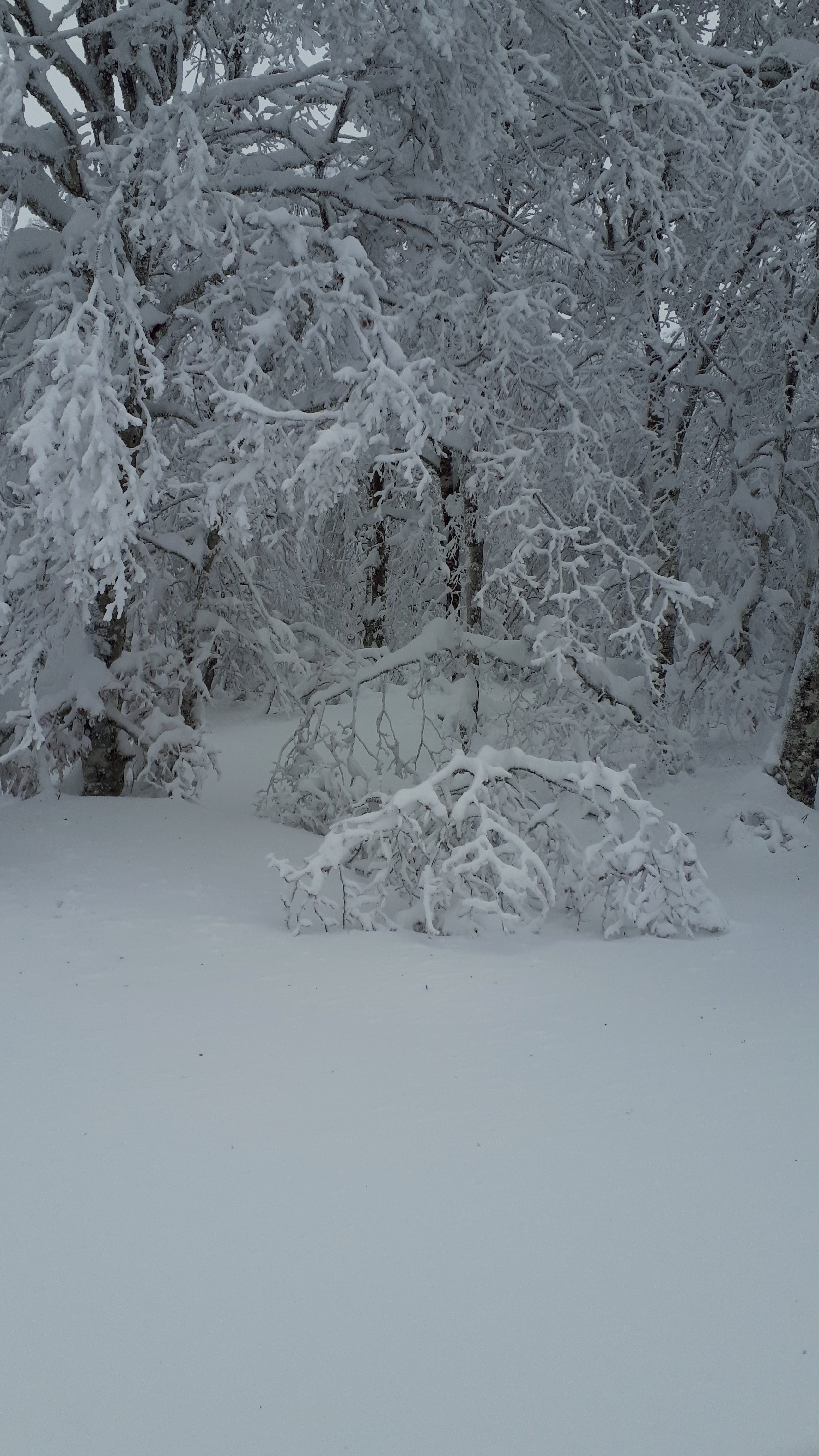 Photo n° 2 de l'avis de ghislaine-olivier.o fait le 03/01/2021 à 16:57