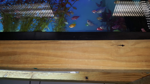 Pet Supply Store «Living Things», reviews and photos, 3437 PA-309, Orefield, PA 18069, USA