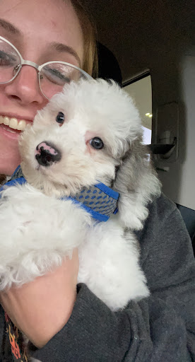 Pet Store «PV Pets», reviews and photos, 233 S Broadway, Pennsville, NJ 08070, USA