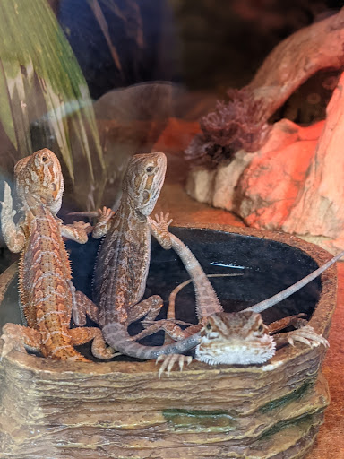 Pet Supply Store «PetSmart», reviews and photos, 5005 S 74th St, Greenfield, WI 53220, USA