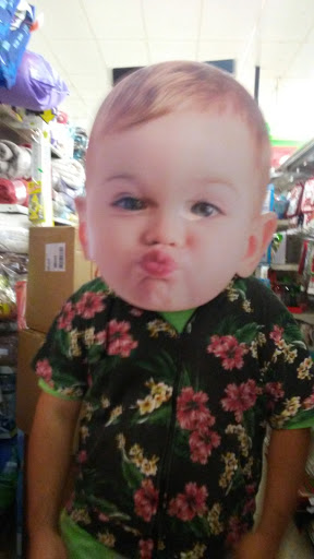 Discount Store «Dollar General», reviews and photos, 1813 Center St, Deer Park, TX 77536, USA