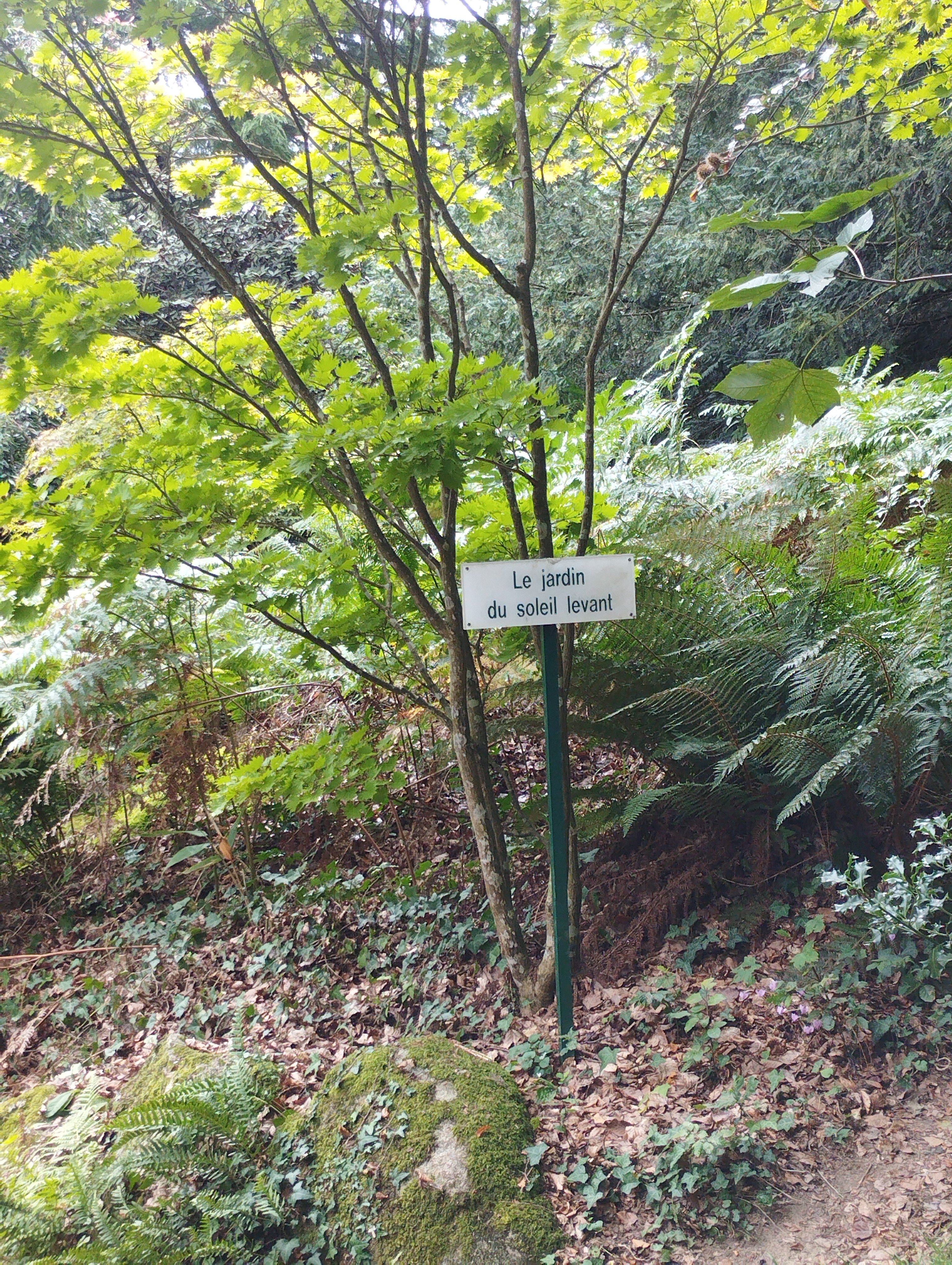 Photo n° 13 de l'avis de Tiphaine.l fait le 31/08/2023 à 22:42