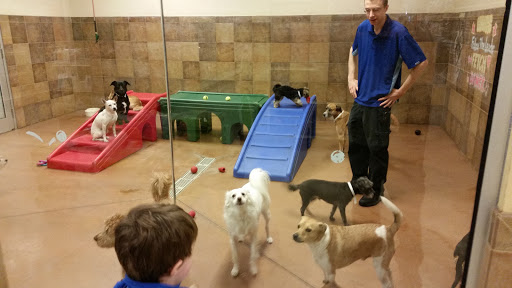 Pet Supply Store «PetSmart», reviews and photos, 310 N White Horse Pike, Lawnside, NJ 08045, USA