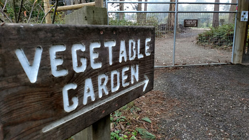 Tourist Attraction «Mendocino Coast Botanical Gardens», reviews and photos, 18220 CA-1, Fort Bragg, CA 95437, USA