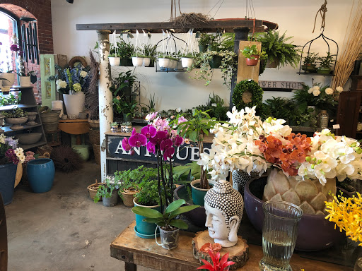 Florist «Beach Plum Flower Shop», reviews and photos, 50 Water St #301, Newburyport, MA 01950, USA