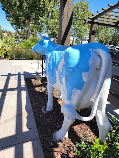 Mendocino Farms image
