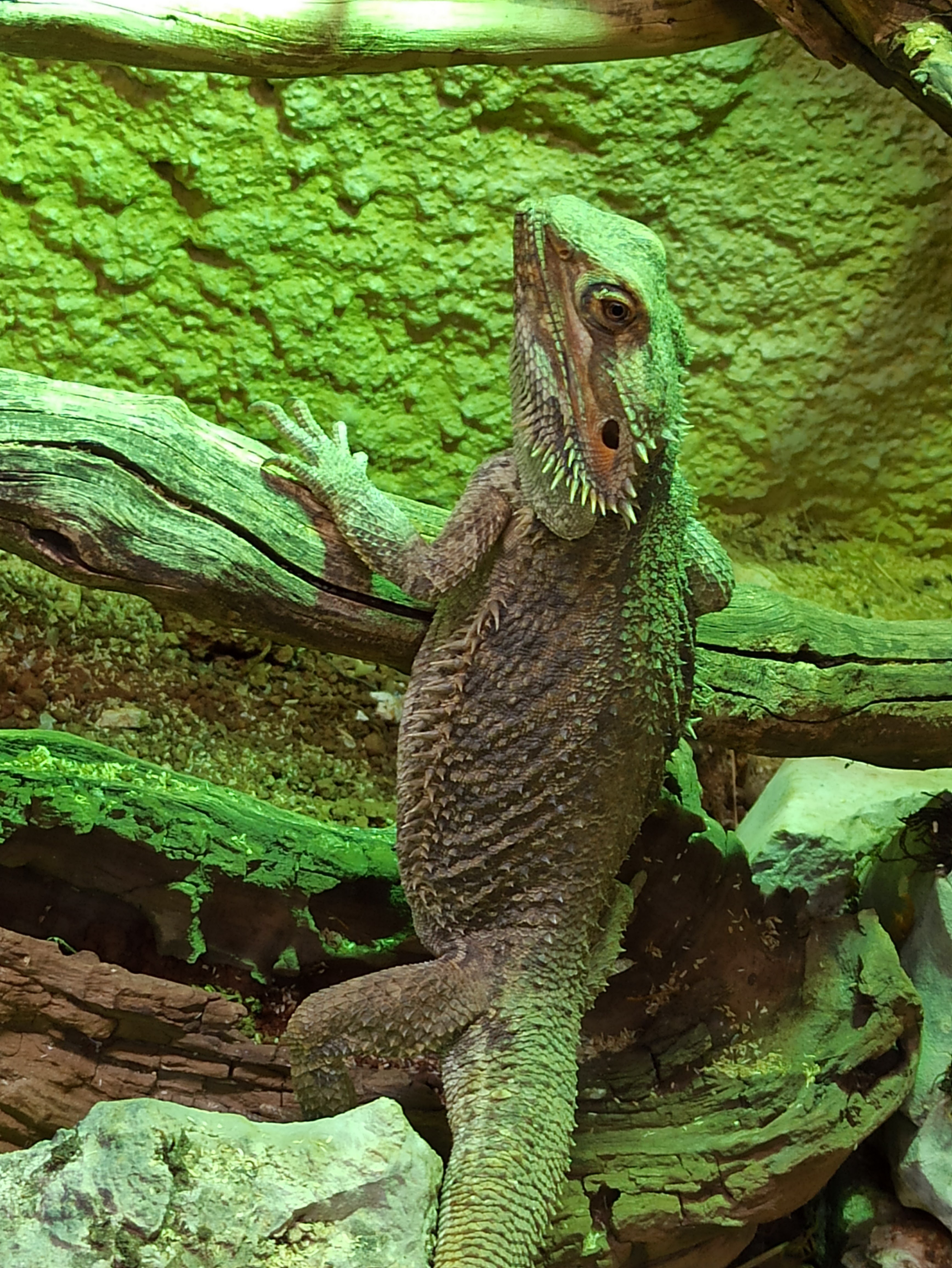 Photo n° 2 de l'avis de Pam.a fait le 19/07/2023 à 20:50