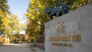 Lincoln Park Zoo - Wikipedia
