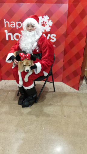 Pet Supply Store «Petco Animal Supplies», reviews and photos, 339 Pompton Ave, Verona, NJ 07044, USA