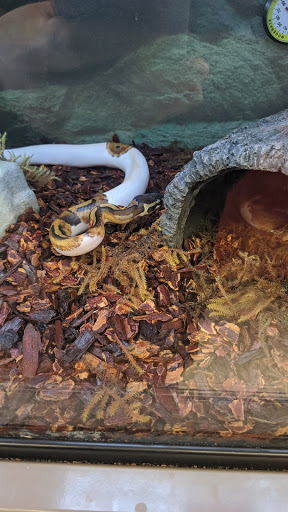 Pet Supply Store «Petco Animal Supplies», reviews and photos, 85 State St, Orem, UT 84058, USA