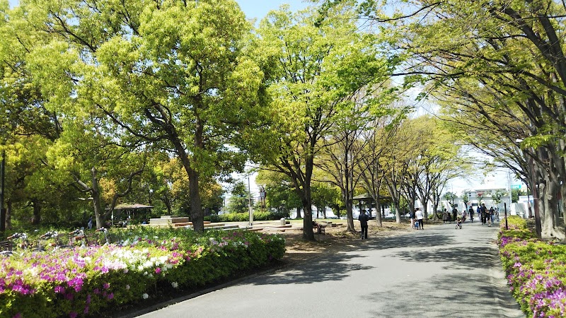 三橋総合公園鴨川第一調整池 ウェットランド 埼玉県さいたま市大宮区三橋 公園 公園 グルコミ