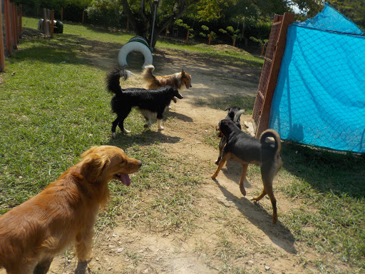 Clínica Veterinaria Catan Zoo