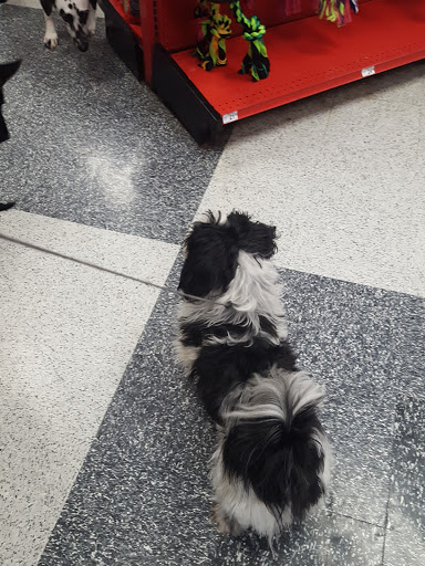 Pet Supply Store «Petco Animal Supplies», reviews and photos, 955 Ferry Blvd, Stratford, CT 06614, USA