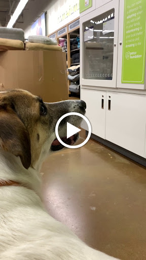 Pet Supply Store «Petco Animal Supplies», reviews and photos, 10864 Kuykendahl Rd, The Woodlands, TX 77381, USA