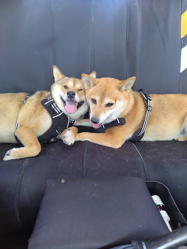 1701 E Arkansas Ln, Arlington, TX 76010, USA