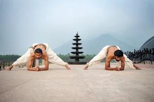 LA Hatha Yoga image