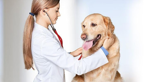 Clínica Veterinaria Delta en Sant Boi de Llobregat