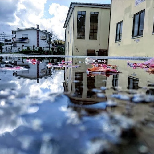 Avaliações doEscola EB 2,3 do Marco de Canaveses em Marco de Canaveses - Escola