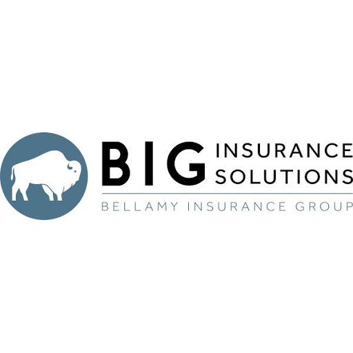 Insurance Agency «Bellamy Insurance Group», reviews and photos