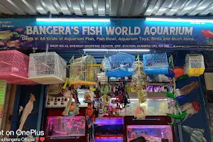 Bangera’s Fish World Aquarium image
