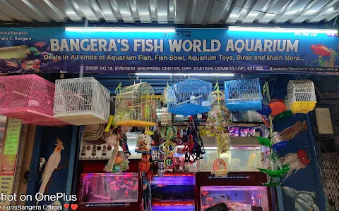 Bangera’s Fish World Aquarium image