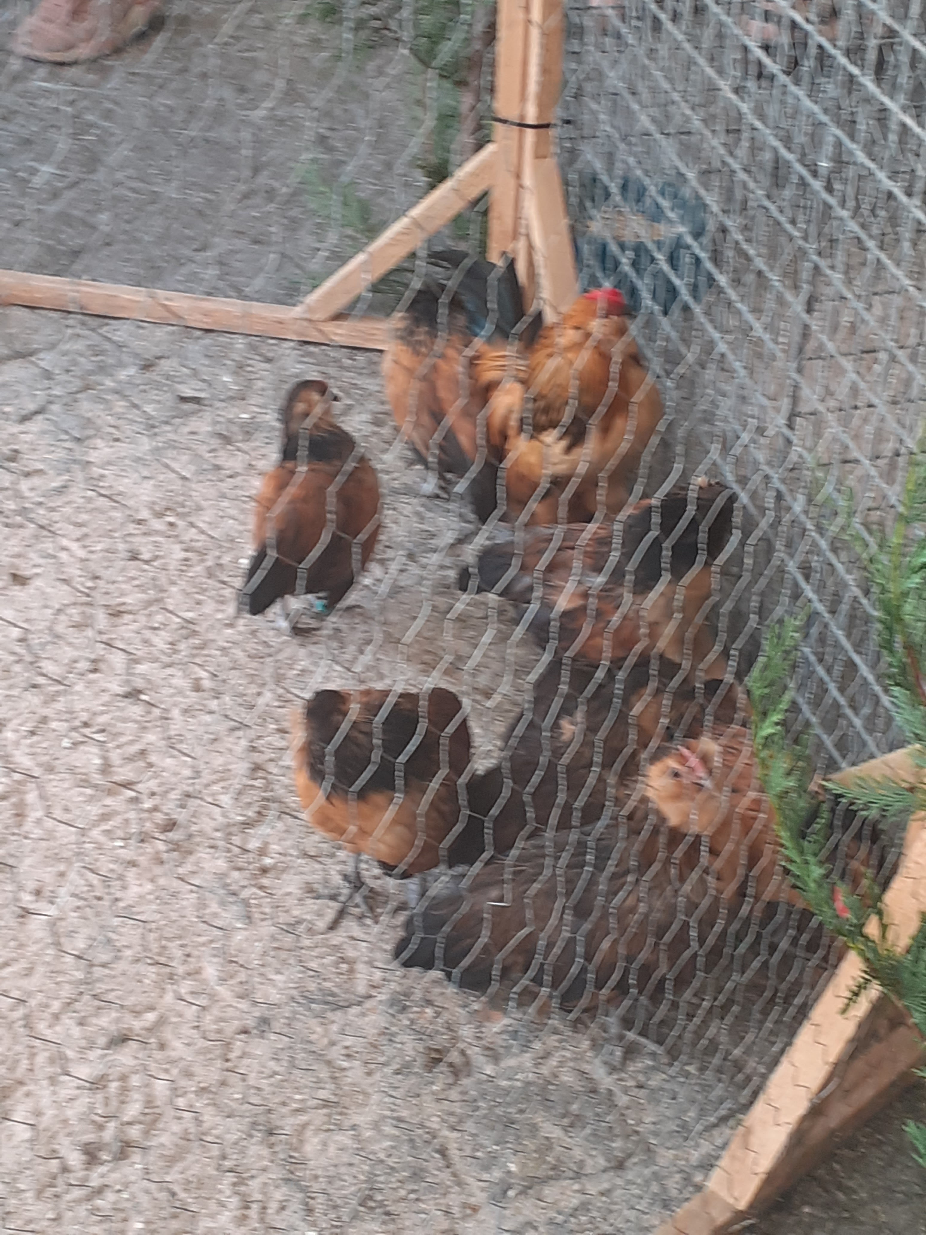 Photo n° 5 de l'avis de Chloe.a fait le 24/08/2019 à 15:17