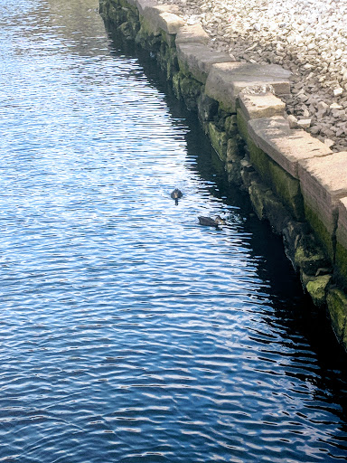 History Museum «Battleship Cove», reviews and photos, 5 Water St, Fall River, MA 02721, USA