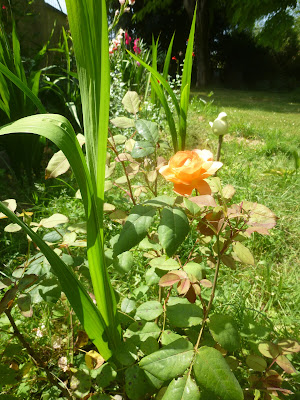 Vayres à Soi à Vayres