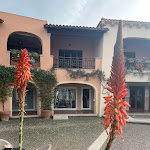 Photo n°3 de l'avis de Katja.f fait le 09/04/2024 à 18:41 sur le  Cafè du Port à Puntaldia