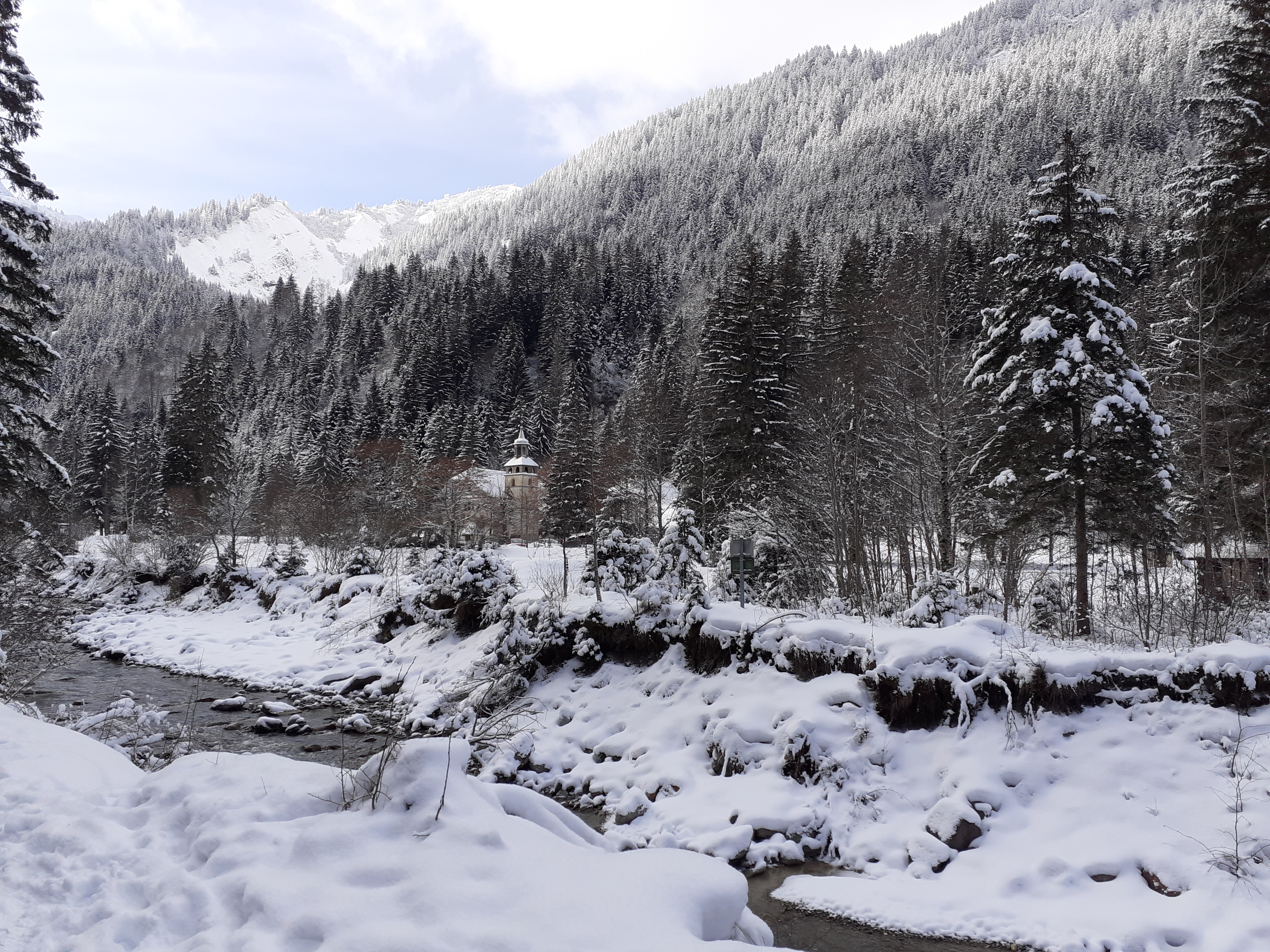 Photo n° 1 de l'avis de Milou.a fait le 26/12/2020 à 09:48