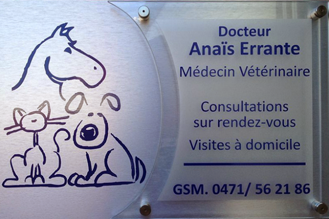Beoordelingen van Vétérinaire Errante Anaïs in Charleroi - Dierenarts