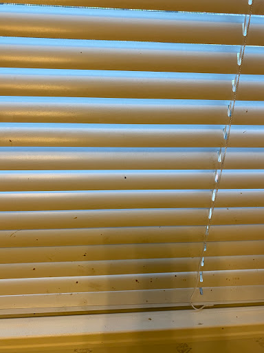 House Cleaning Service «MOLLY MAID of Greater Austin», reviews and photos, 7801 N Lamar Blvd a132, Austin, TX 78752, USA