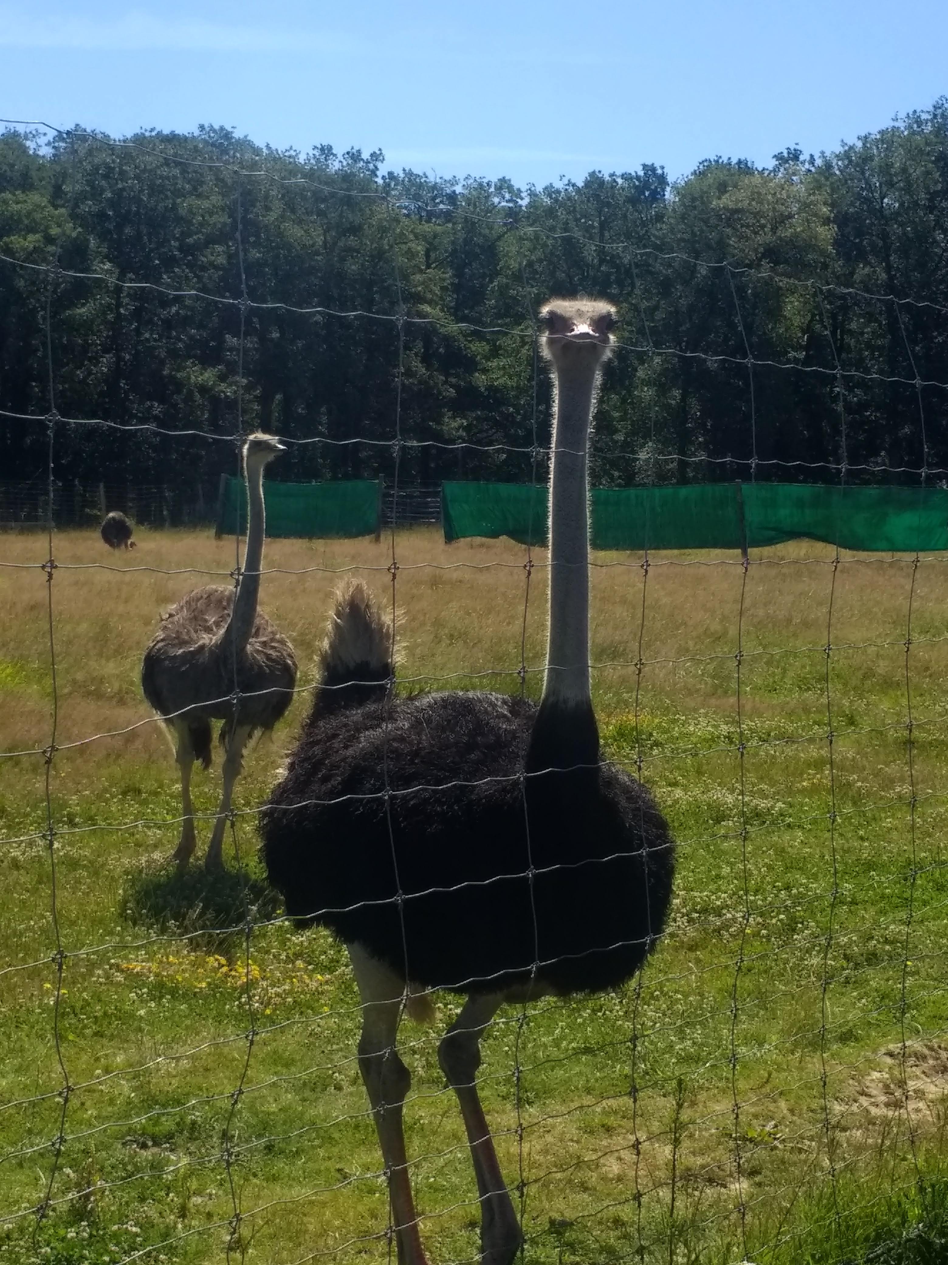 Photo n° 3 de l'avis de Kriss-. fait le 23/06/2018 à 10:16