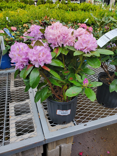 Home Improvement Store «The Home Depot», reviews and photos, 15101 Flagstaff Ave, Apple Valley, MN 55124, USA