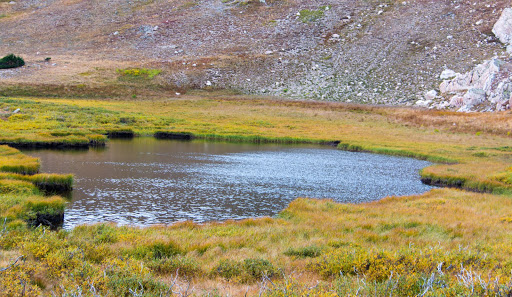 National Park «Rocky Mountain National Park», reviews and photos