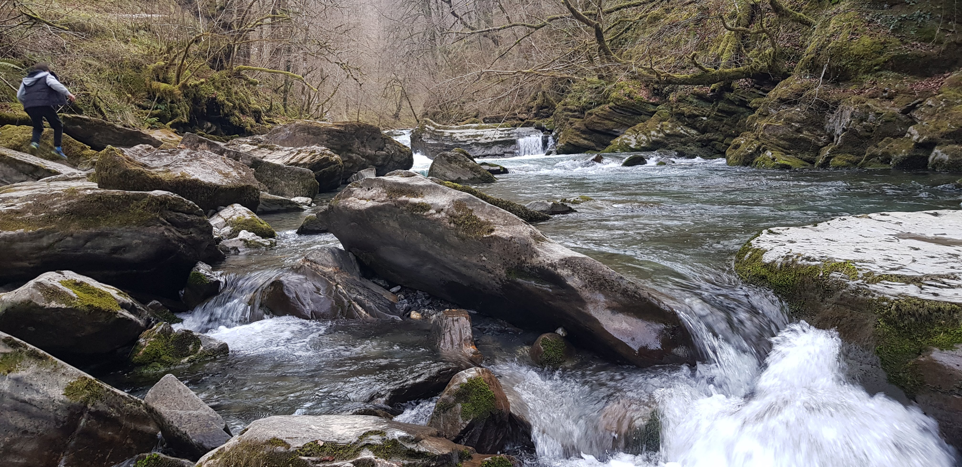 Photo n° 5 de l'avis de Jerome.e fait le 13/03/2019 à 14:32
