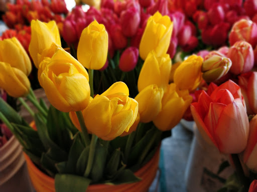 Florist «City Enchanted Gardens Florist», reviews and photos, 2246 W Taylor St, Chicago, IL 60612, USA