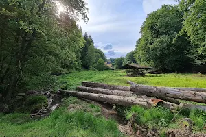 Wildtiergatter Altenberg image