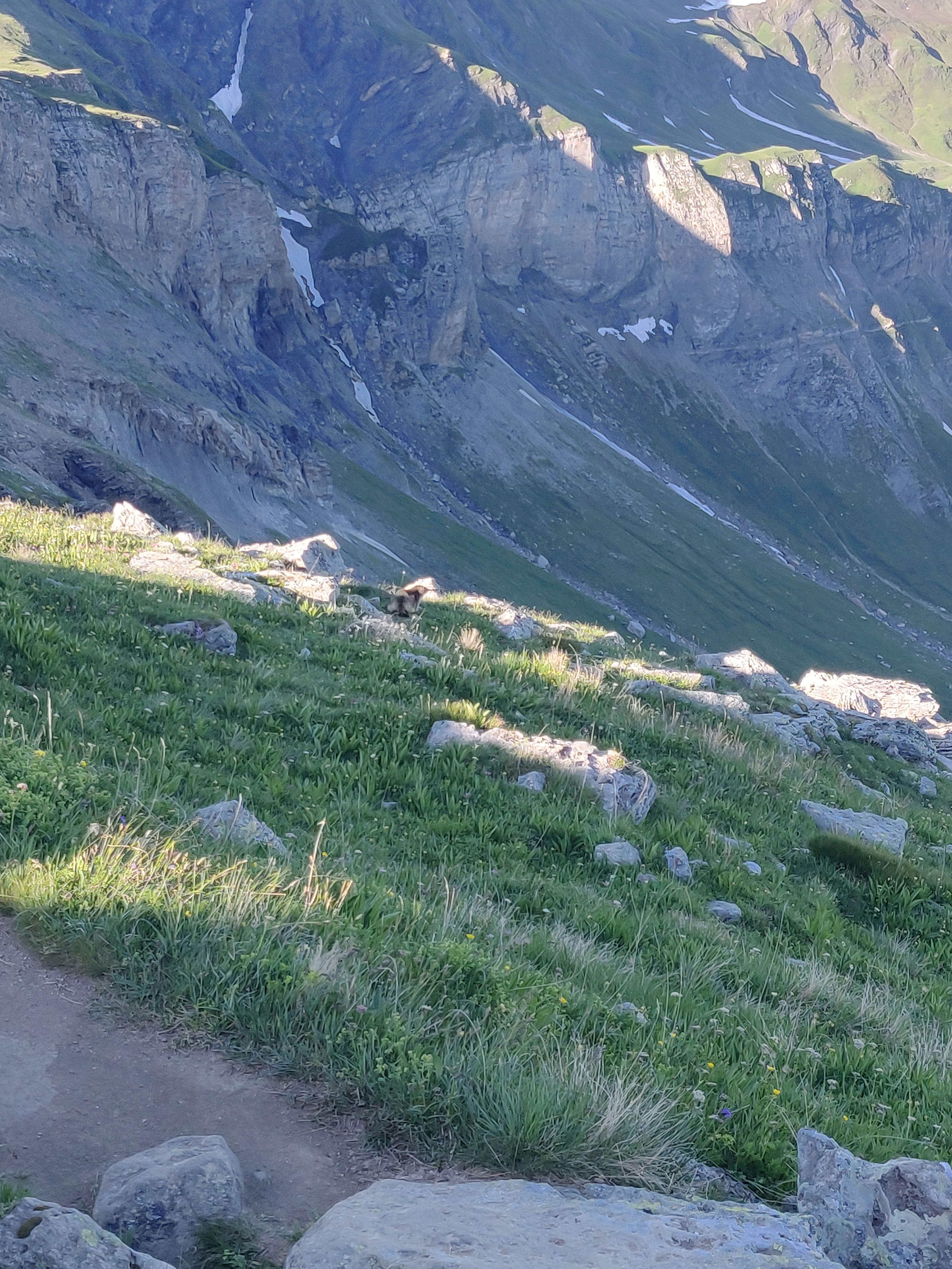 Photo n° 12 de l'avis de Julien.e fait le 09/07/2023 à 12:33