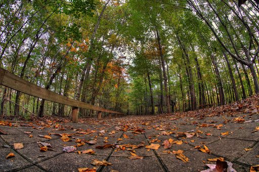 Nature Preserve «Hemlock Bluffs Nature Preserve», reviews and photos, 2616 Kildaire Farm Rd, Cary, NC 27511, USA