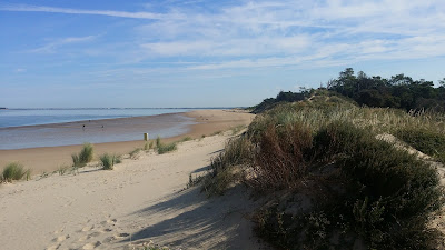 Forêt domaniale de la Coubre à La Tremblade