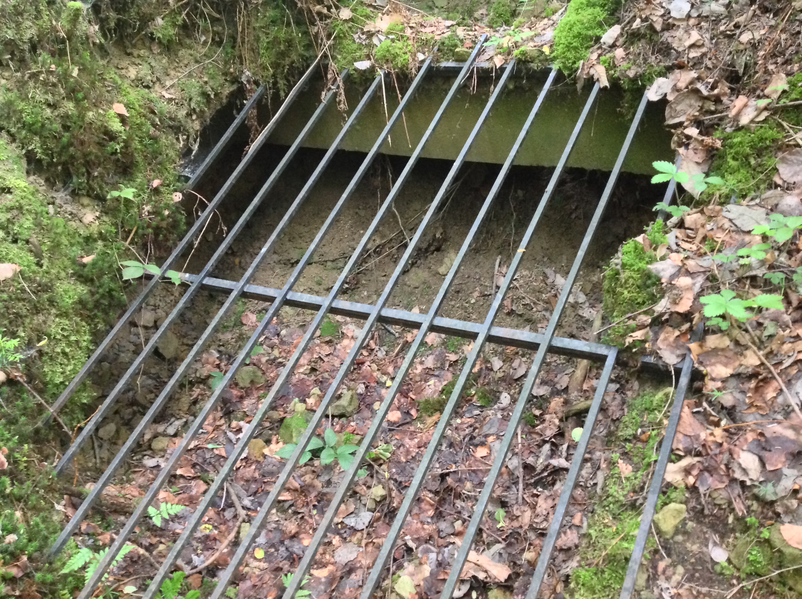 Photo n° 4 de l'avis de David.O fait le 21/05/2019 à 19:07