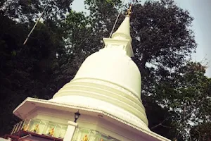 Bodhinagala Forest Hermitage (බෝධිනාගල ආරණ්‍ය සේනාසනය) image