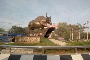 Hasthampatti Bull Statue image
