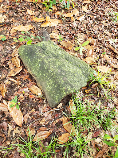 Park «Frankie Allen Park», reviews and photos, 100 Bagley St NE, Atlanta, GA 30305, USA