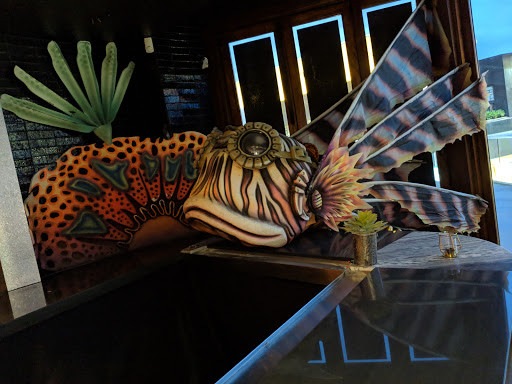 Expert Dojo image
